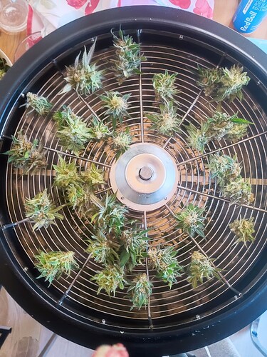 Growreport Bild 19