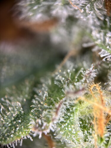 Growreport Bild 21