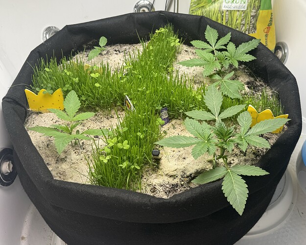 Growreport Bild 24