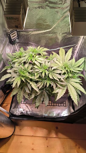 Growreport Bild 1