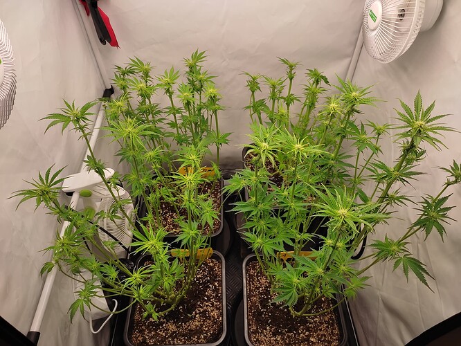 Growreport Bild 12