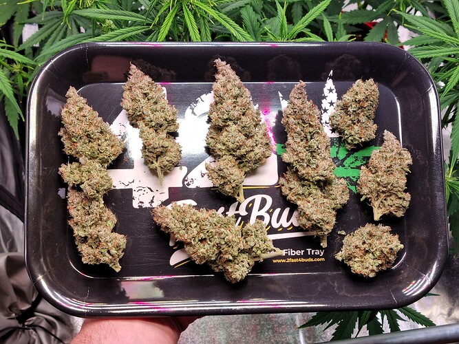 Growreport Bild 15