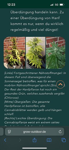 Growreport Bild 46