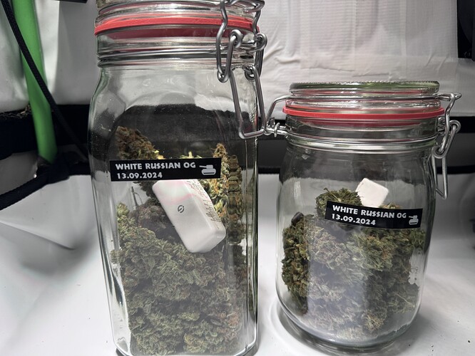 Growreport Bild 36