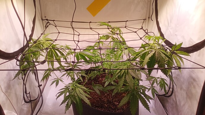 Growreport Bild 12