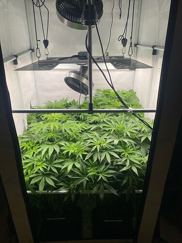 Growreport Bild 4