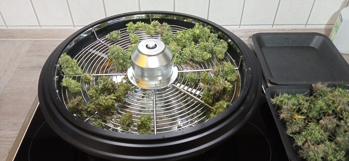 Growreport Bild 4
