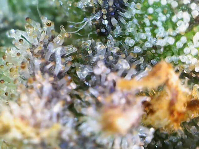 Growreport Bild 16