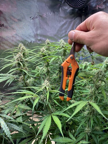 Growreport Bild 15