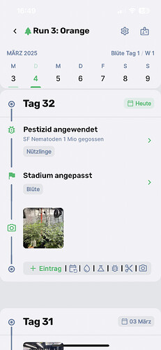 Growreport Bild 2