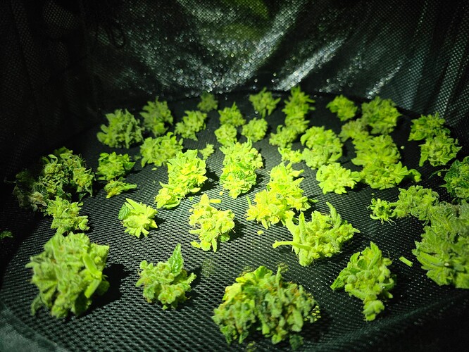 Growreport Bild 14