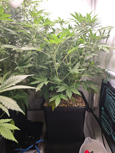 Growreport Bild 16
