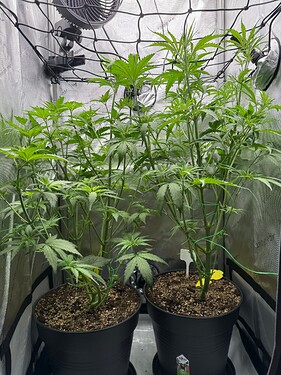 Growreport Bild 16