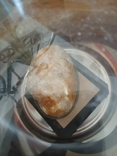 1000062586