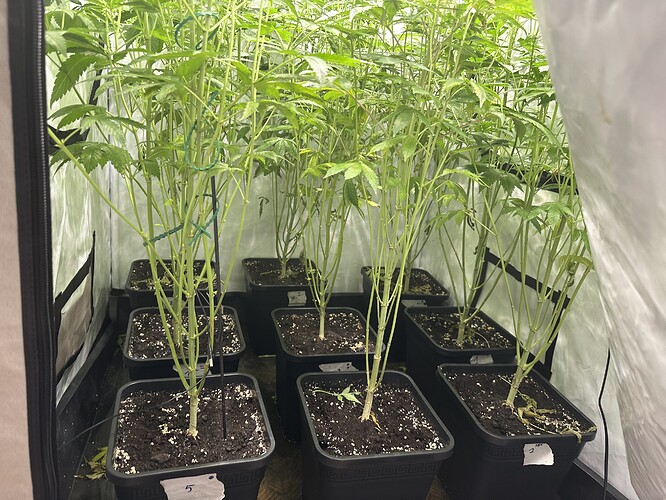 Growreport Bild 3