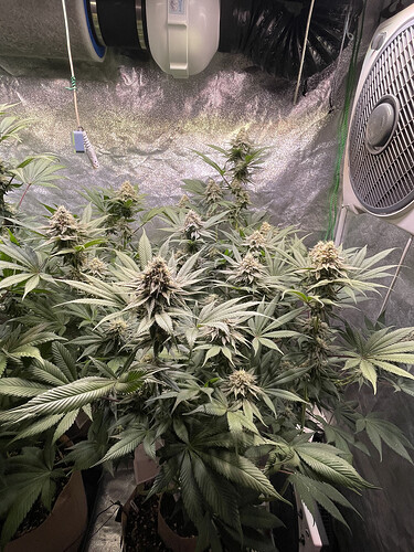 Growreport Bild 2