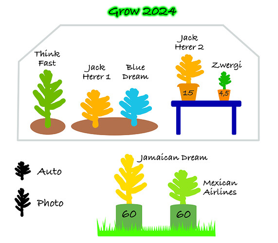 Growreport Bild 53