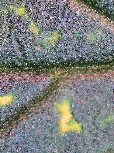 2025-07-27-19-11-32-117