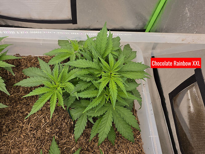 20260307_213410_edited_