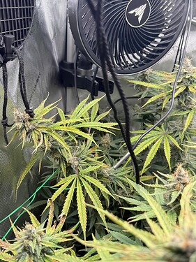 Growreport Bild 4