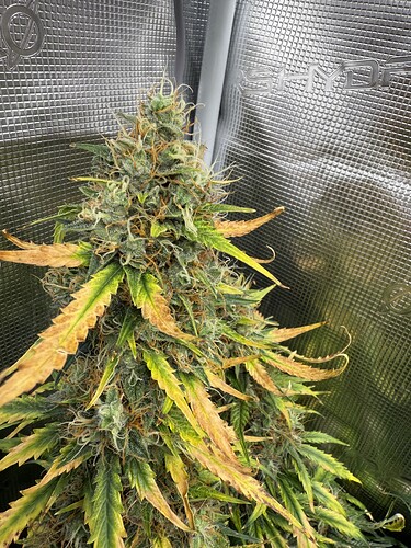 Growreport Bild 13