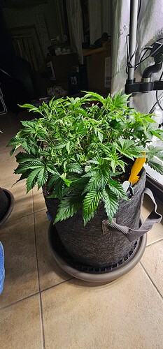 Growreport Bild 10