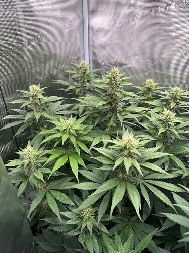 Growreport Bild 18