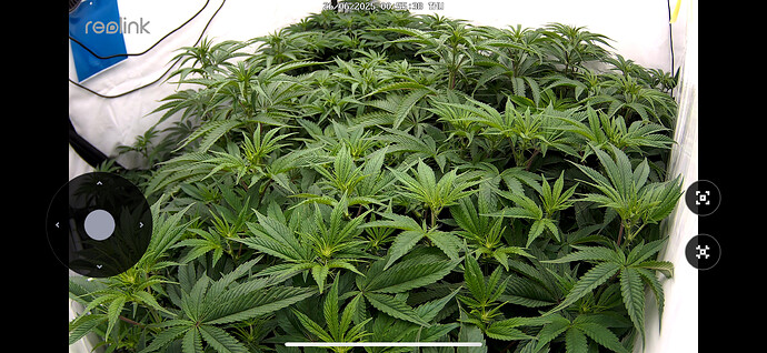 Growreport Bild 2