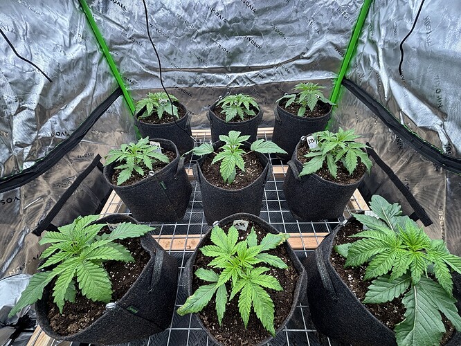 Growreport Bild 12