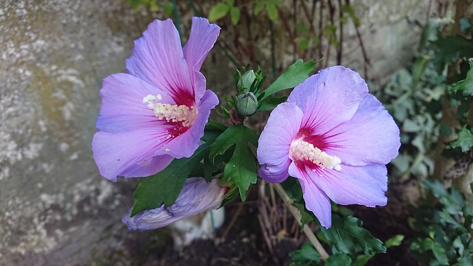 Growreport Bild 13