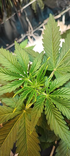 Growreport Bild 10