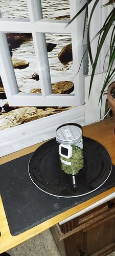 Growreport Bild 4