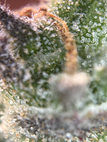 Growreport Bild 20