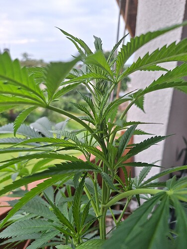 Growreport Bild 5