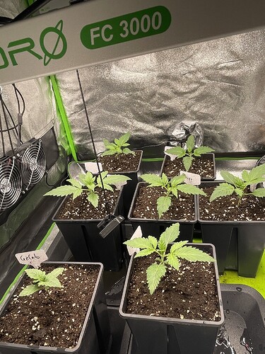 Growreport Bild 11