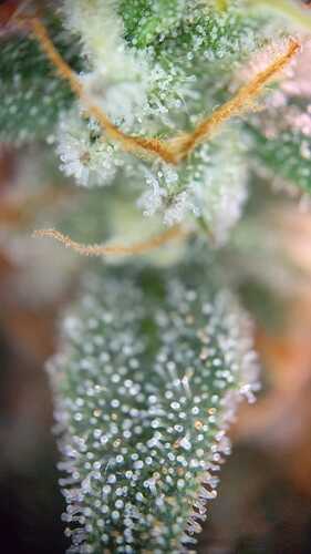 WhatsApp Bild 2024-06-12 um 17.14.04_dd688b41