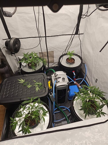 Growreport Bild 4