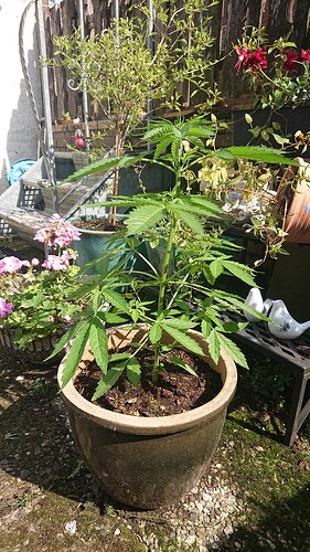 Growreport Bild 30