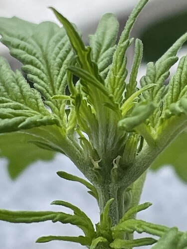 Growreport Bild 8