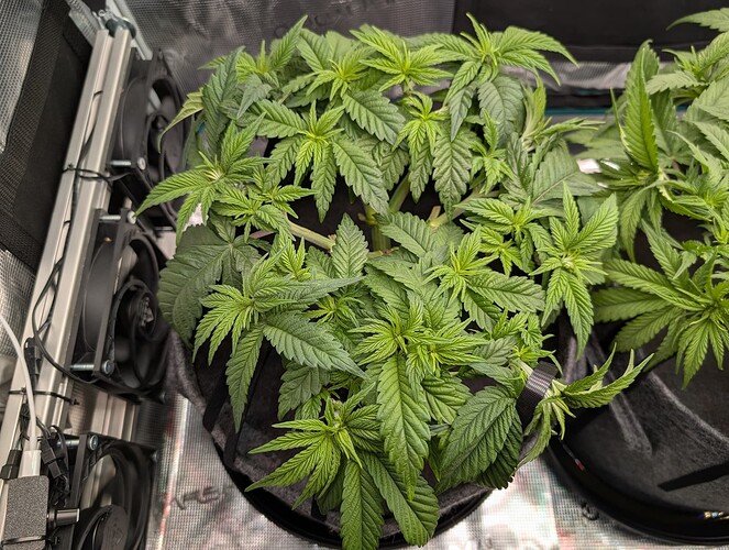 Growreport Bild 18