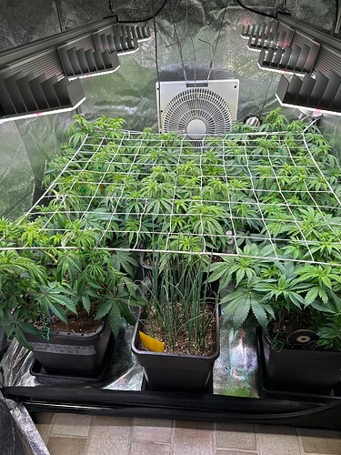 Growreport Bild 23