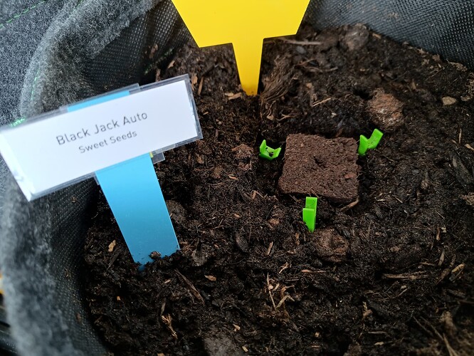 IMG_20240410_124802083_HDR