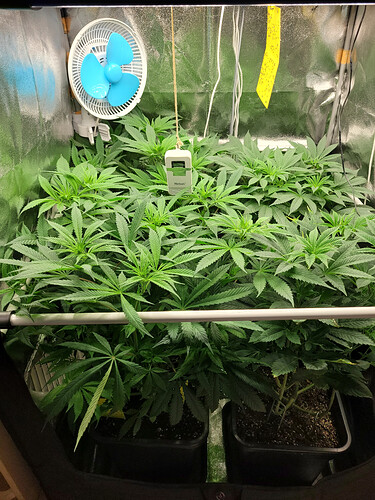 Growreport Bild 7