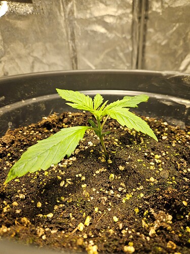 Growreport Bild 8