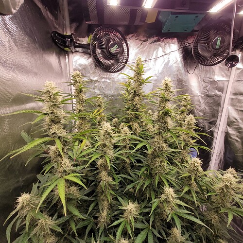 20250301_162723