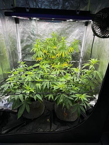 WhatsApp Image 2024-07-31 at 13.50.19 (3)