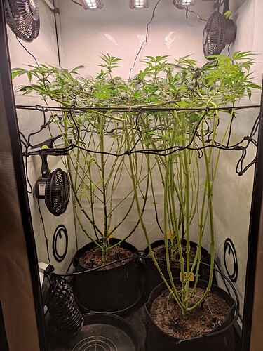 Growreport Bild 13