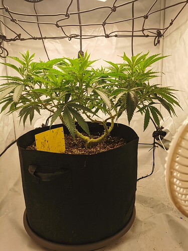 Growreport Bild 12