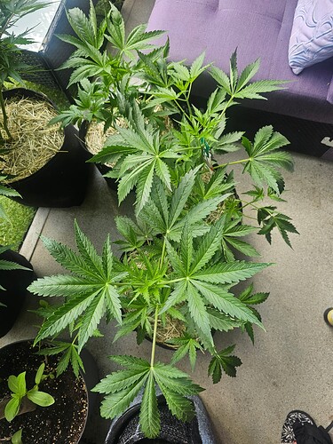 Growreport Bild 10