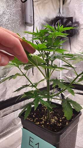 Growreport Bild 17